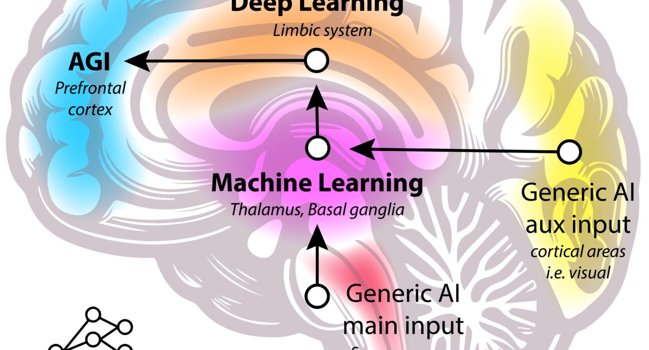 what are neural networks