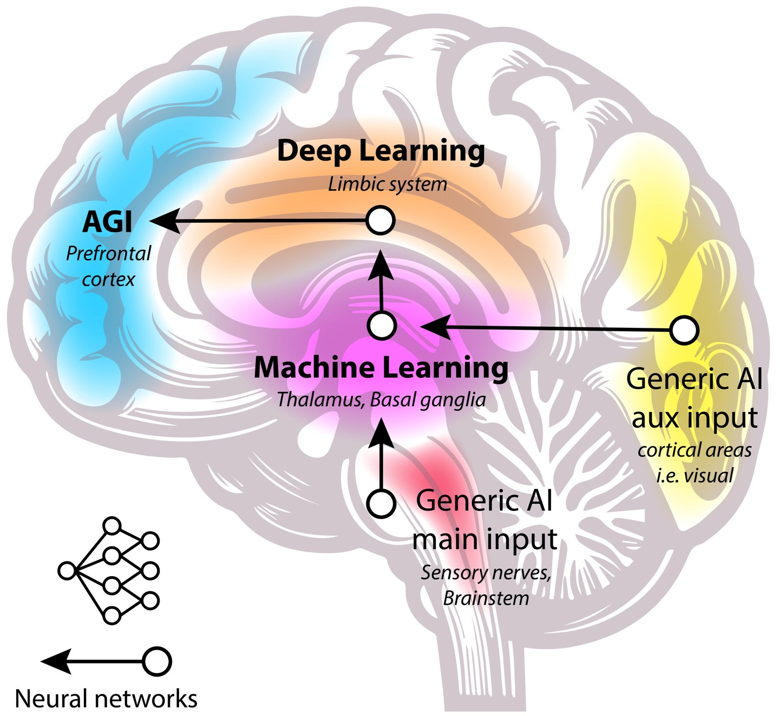 what are neural networks